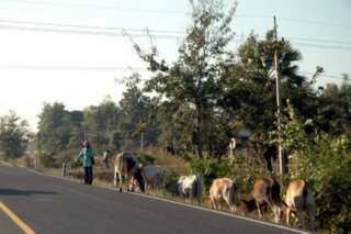 carretera 00 (1)